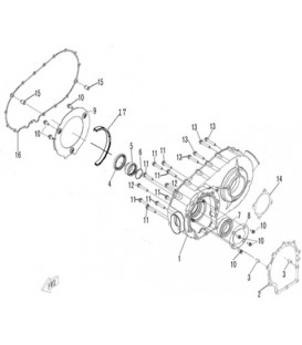 CARTER VARIATEUR