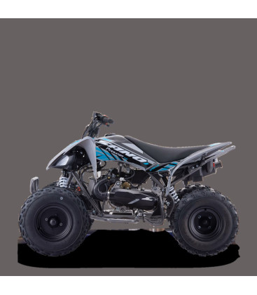 QUAD ENFANT PREDATOR 150 APOLLO