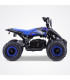 QUAD NOEL 800 WATTS ENFANT DE 3 A 8 ANS