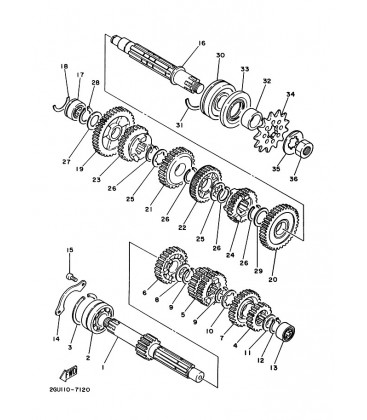 TRANSMISSION