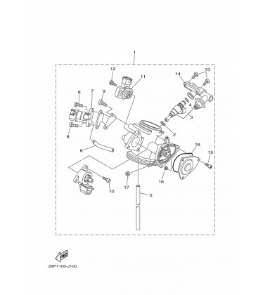 CARTER D'ACCELERATEUR 1