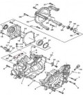 CARTER MOTEUR