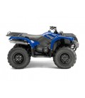 GRIZZLY 450 EPS[2LCB]