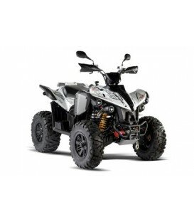 TARGET 550 IRS Fi 4x4 EVO R