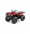 Grizzly 350 4x4