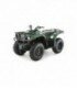 Grizzly 350 2x4