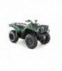 Grizzly 350 2x4