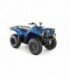 Grizzly 350 2x4