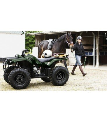 Grizzly 350 2x4
