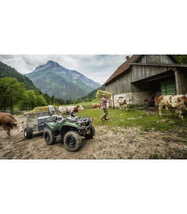 Kodiak 700 4x4 - EPS - serie limitée