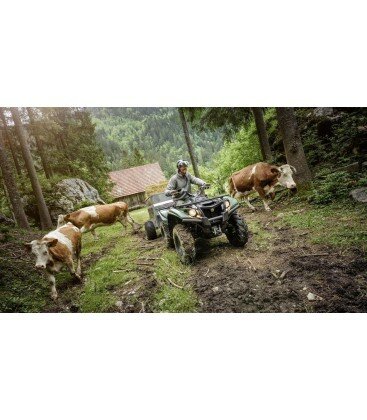 Kodiak 700 4x4 - EPS - EPS SE