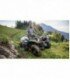 Kodiak 700 4x4 - EPS - EPS SE