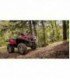 Grizzly 700 4x4 EPS camou