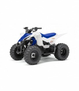 PROMO VACANCES YFZ50 YAMAHA ENFANT DE 5 A 10 ANS