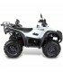 BLADE 500 SL-F 4x4 T3 NOUVEAU 2017